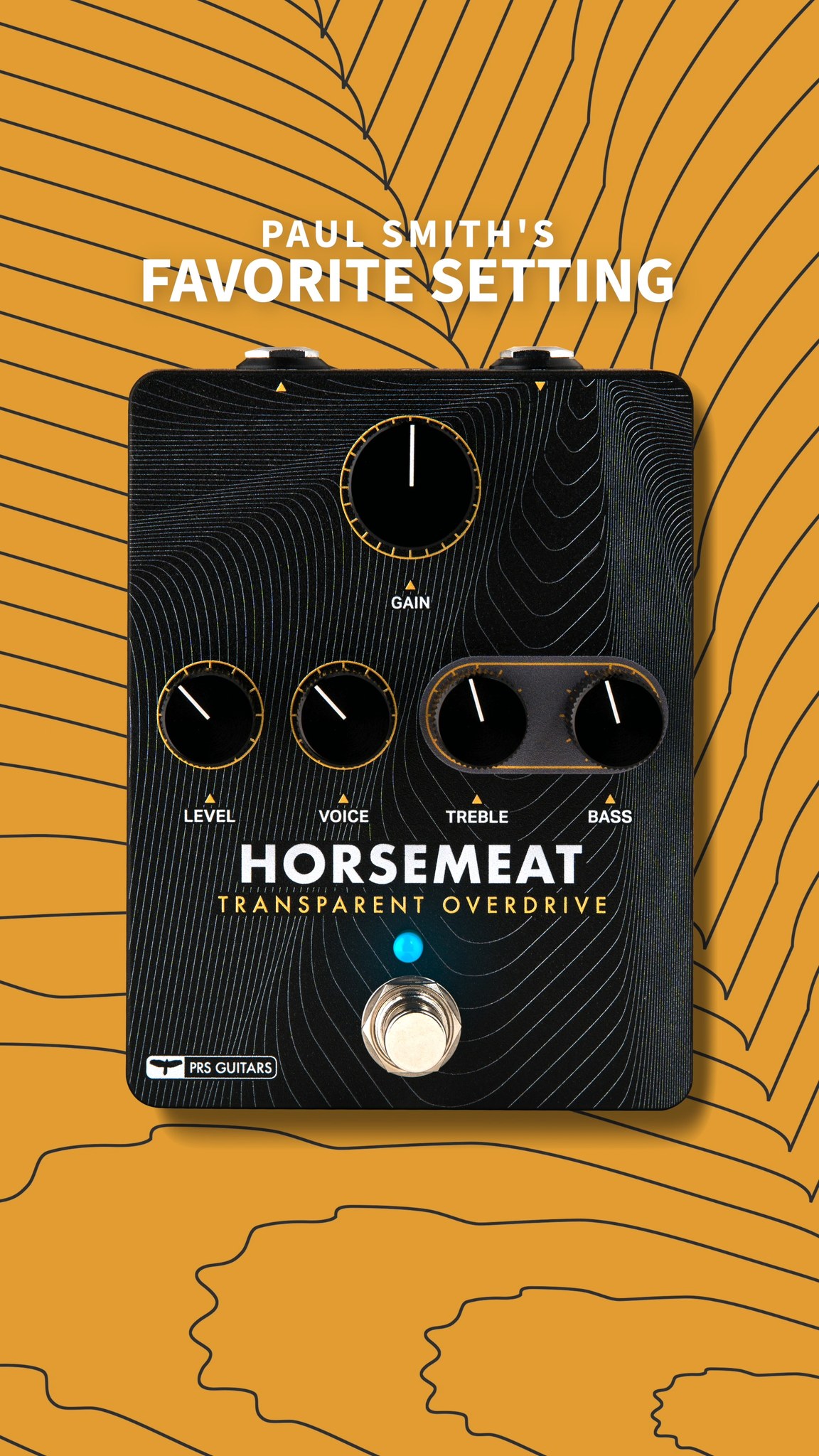 Listen to a full gain-range sweep of our Horsemeat Transparent