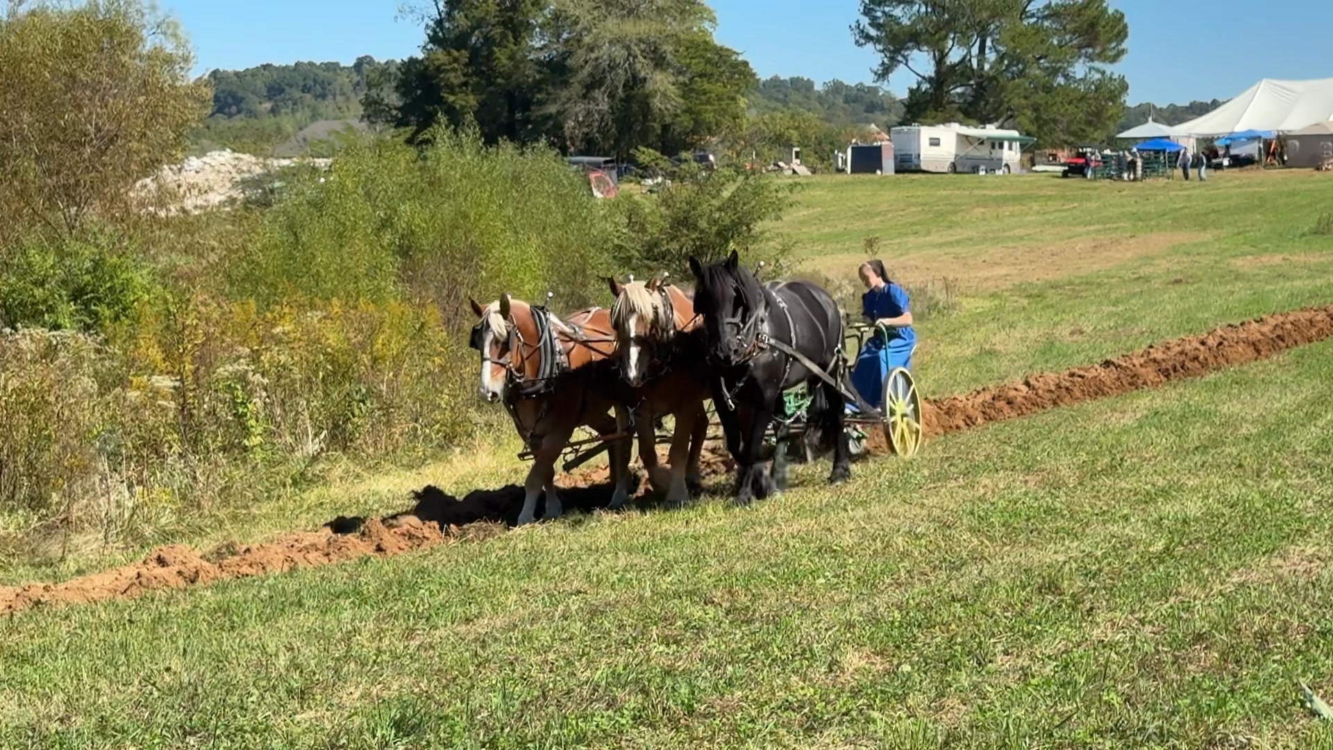 Clips from a visit to Ralph Rice’s farm. Check out more videos like ...