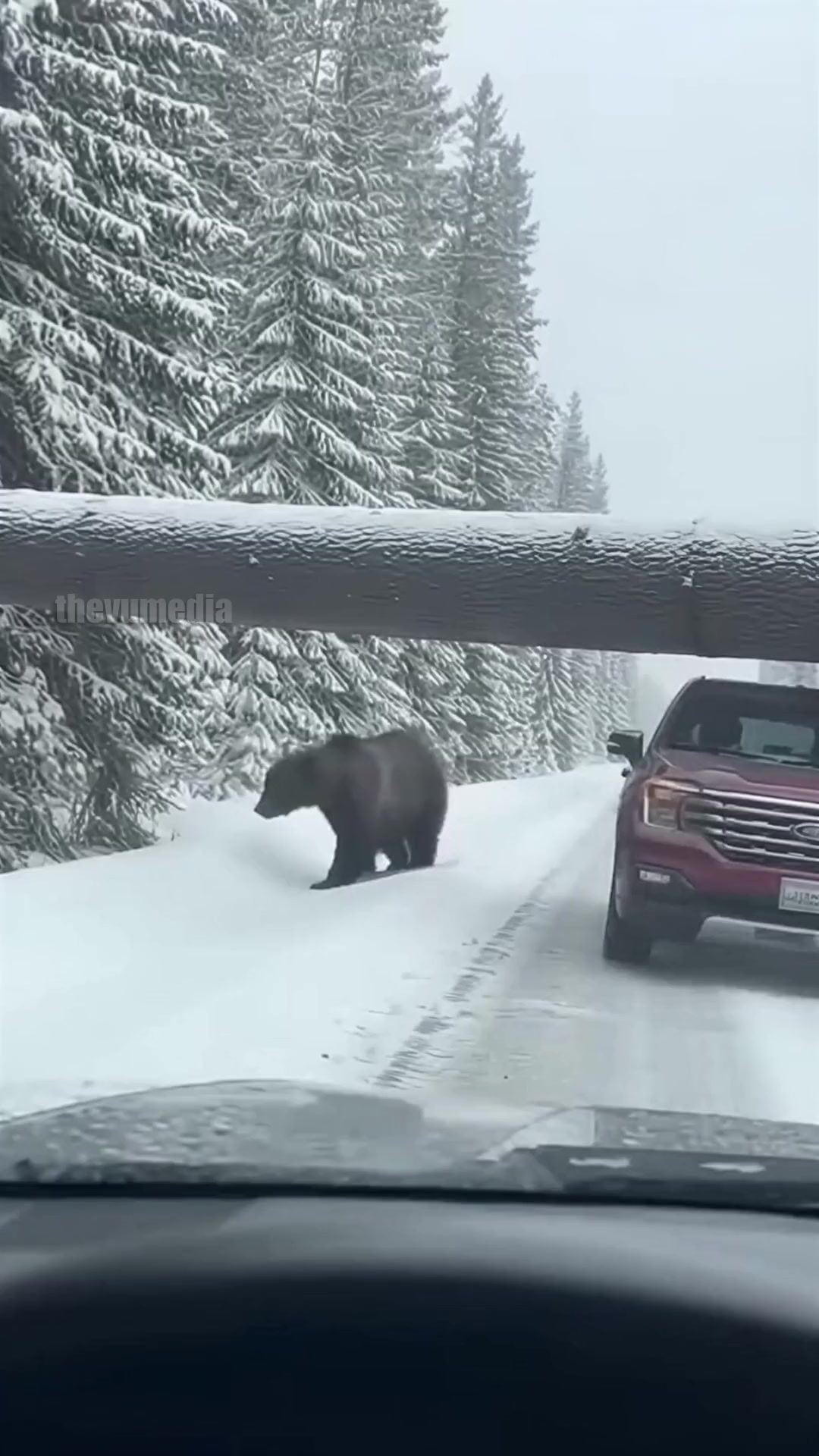 Alaska's frozen wilderness offers stunning beauty, but also ...