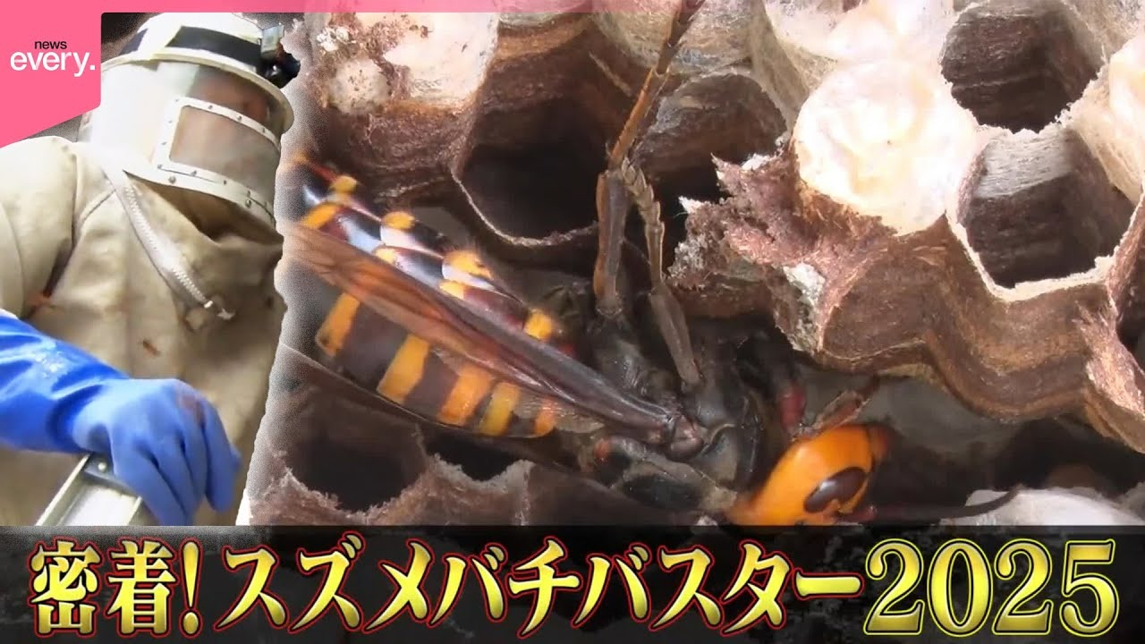 甕 素焼き スズメ蜂の巣模様 エリー242 甕 素焼き スズメ蜂の巣模様