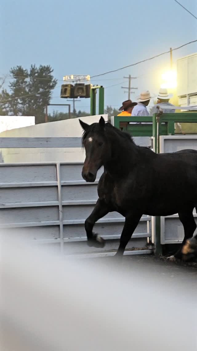 Chief Joseph Days Rodeo | Joseph OR