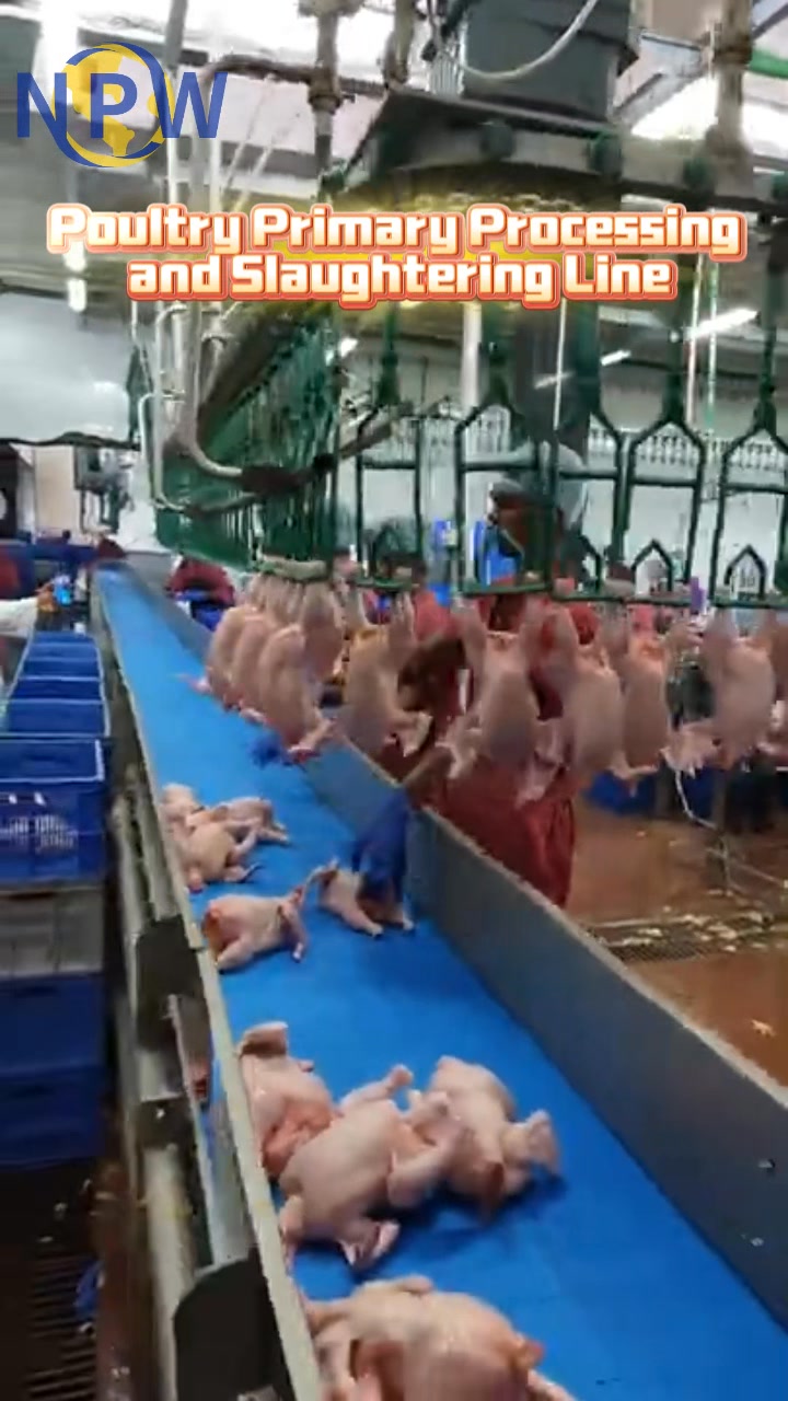 In Africa, building a... - NPW Slaughter＆Process Equipment | Facebook