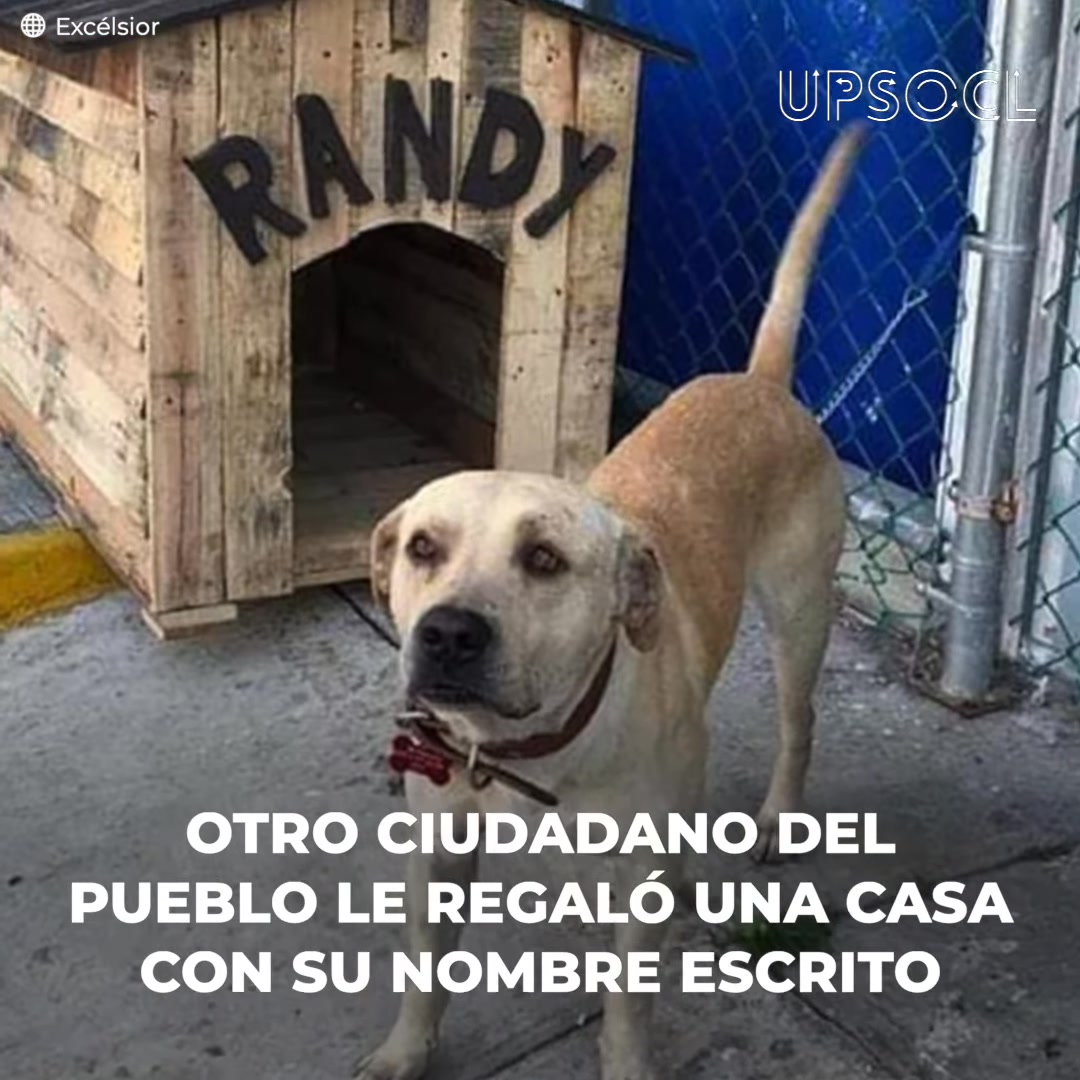 Cuando Randy llegó a la gasolinera en Tamaulipas era un cachorro ...