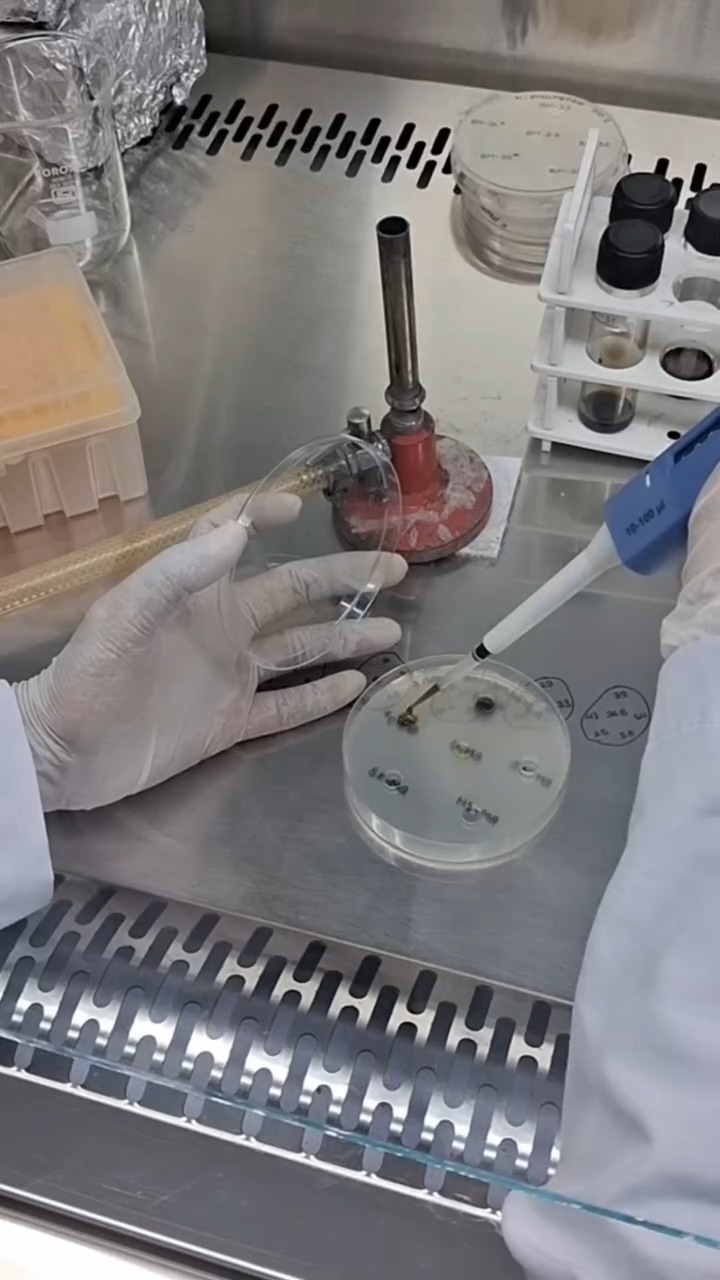 The agar well diffusion method is defined as a technique used to ...