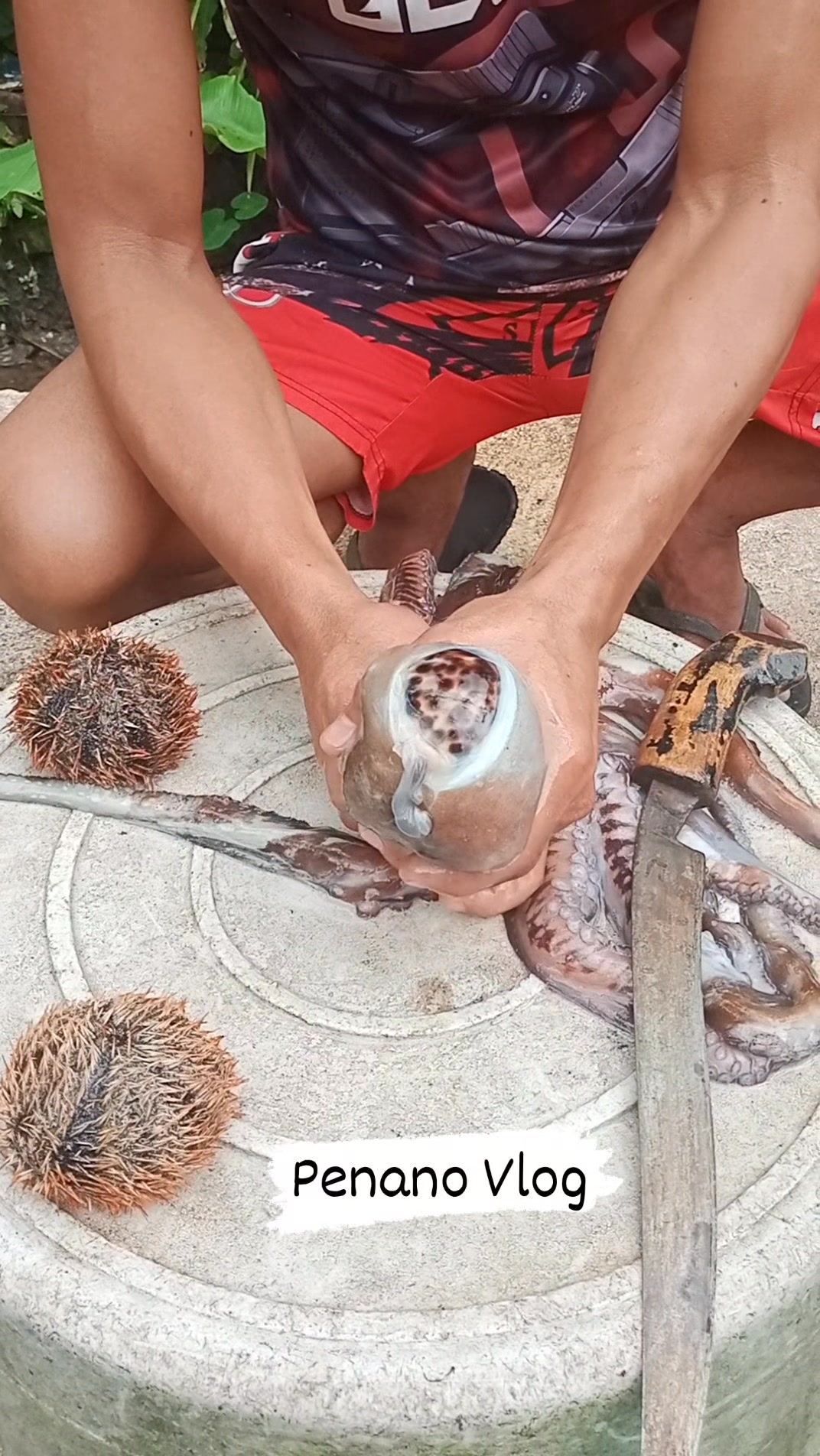 #fypシ゚ giant octopus 🐙🐙 #Amazing #highlights2025 #selfimprovement # ...