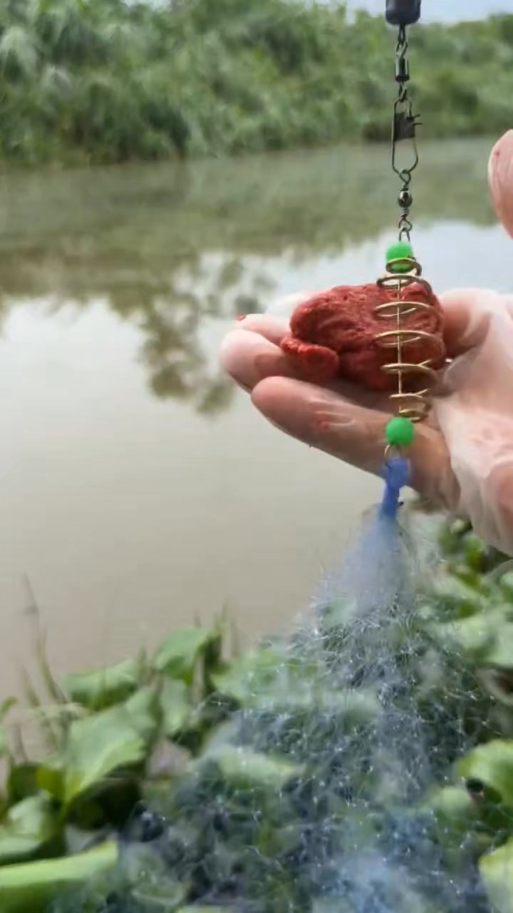 fishing #fishing #fish | Kasr fishing | Facebook