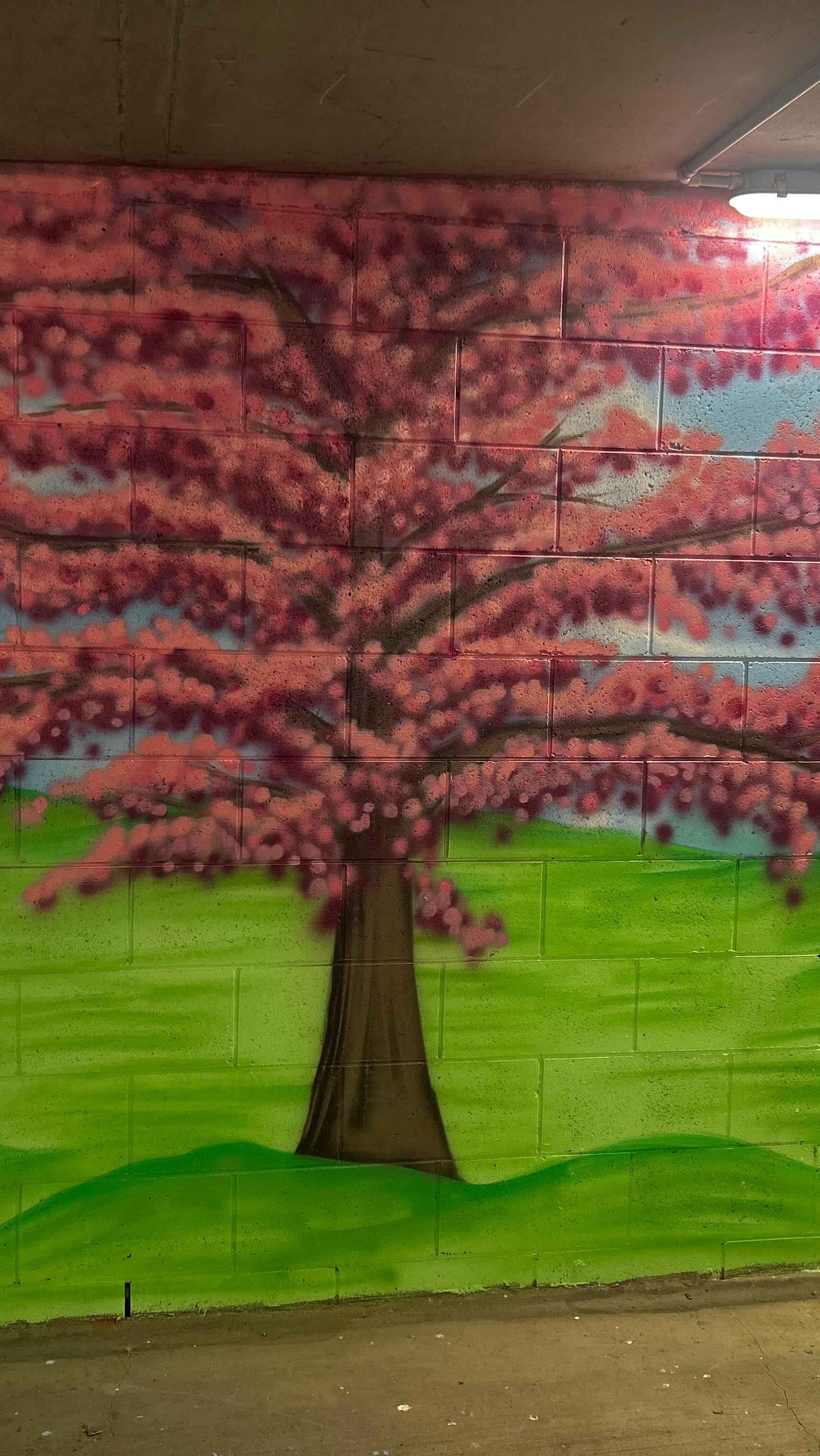 Just to clear things up about the latest mural. It’s located just off ...