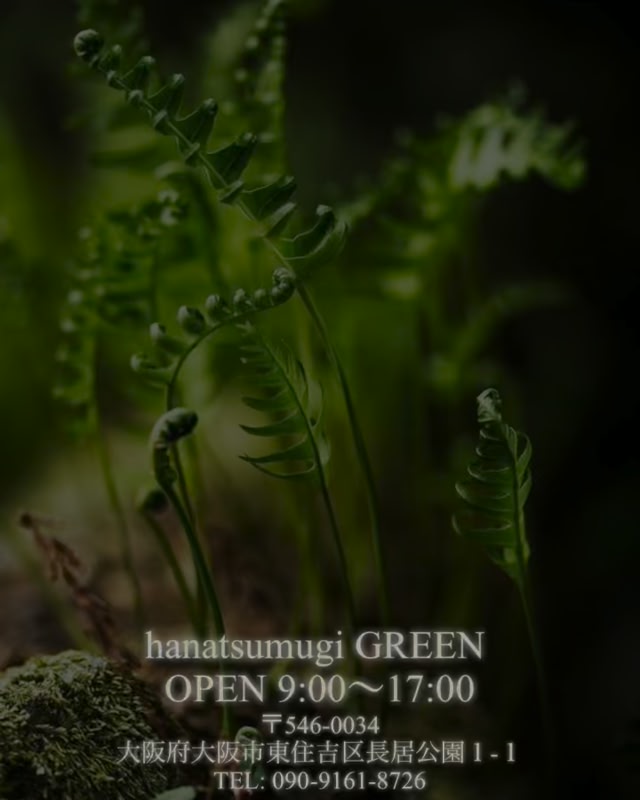 Hanatsumugi green added a new photo — - Hanatsumugi green