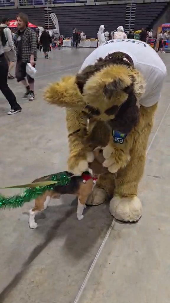 Relay Rail Dog
