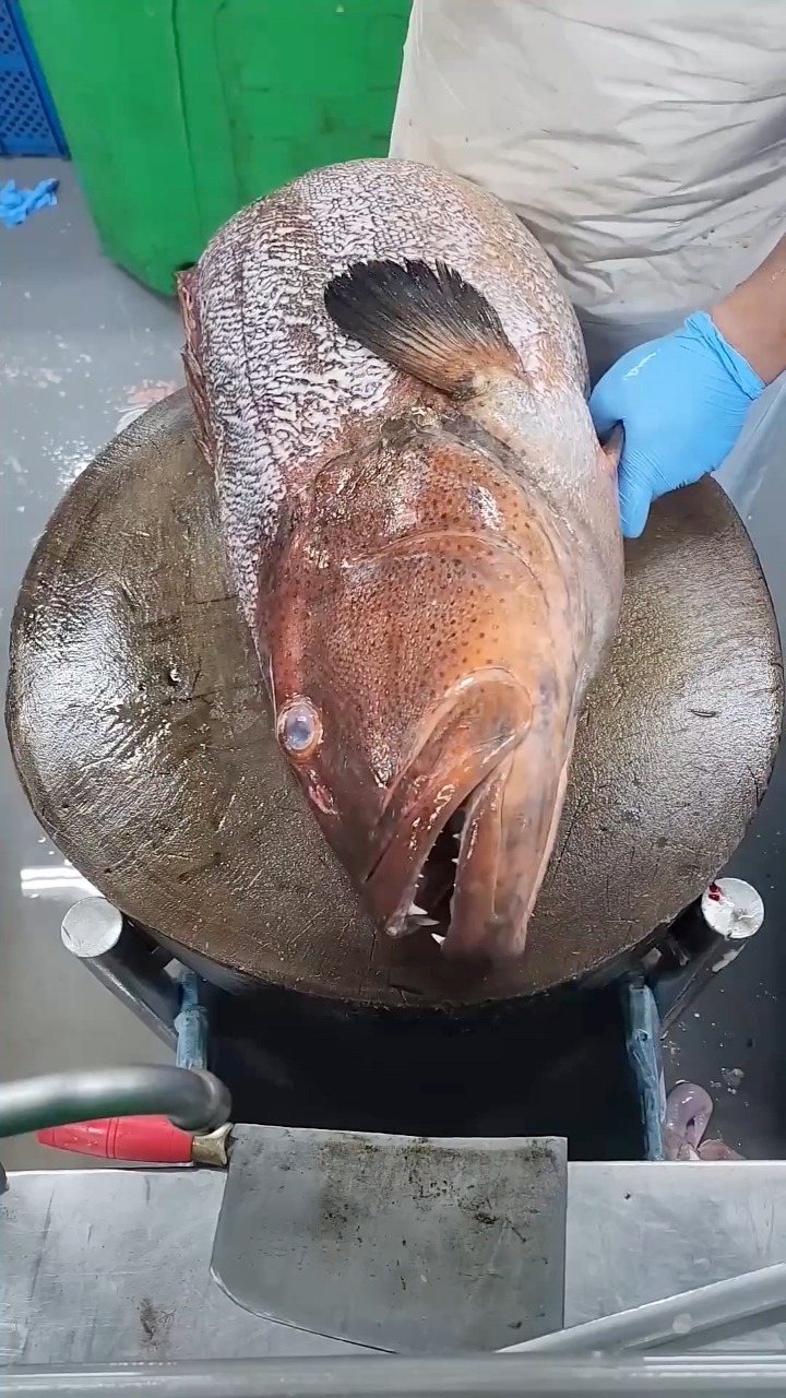 Amazing big grouper fish filleting | Big fish cutting skill # ...