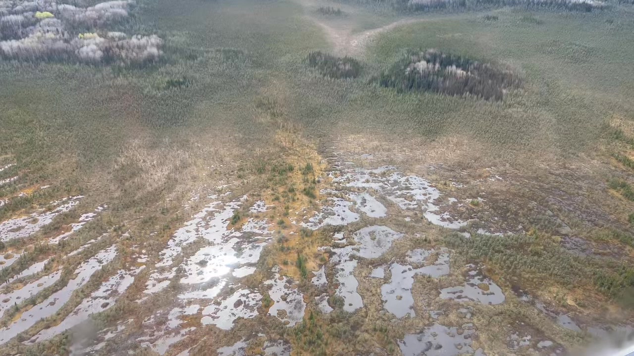 Exploring the mysterious floating bogs of Northern Ontario, Canada ...