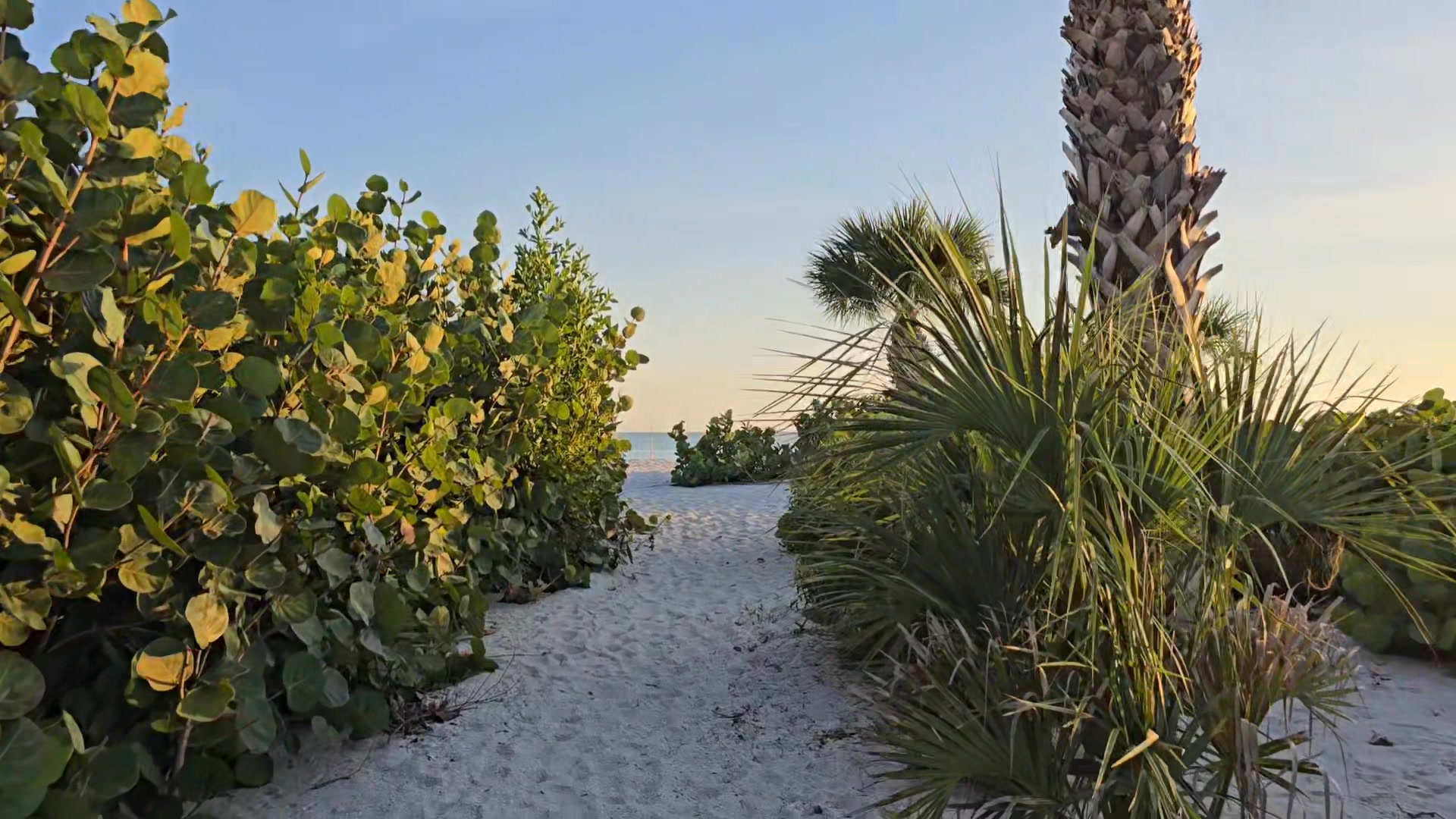 Our most recent walk on our magical path to the beach!! It's time to ...