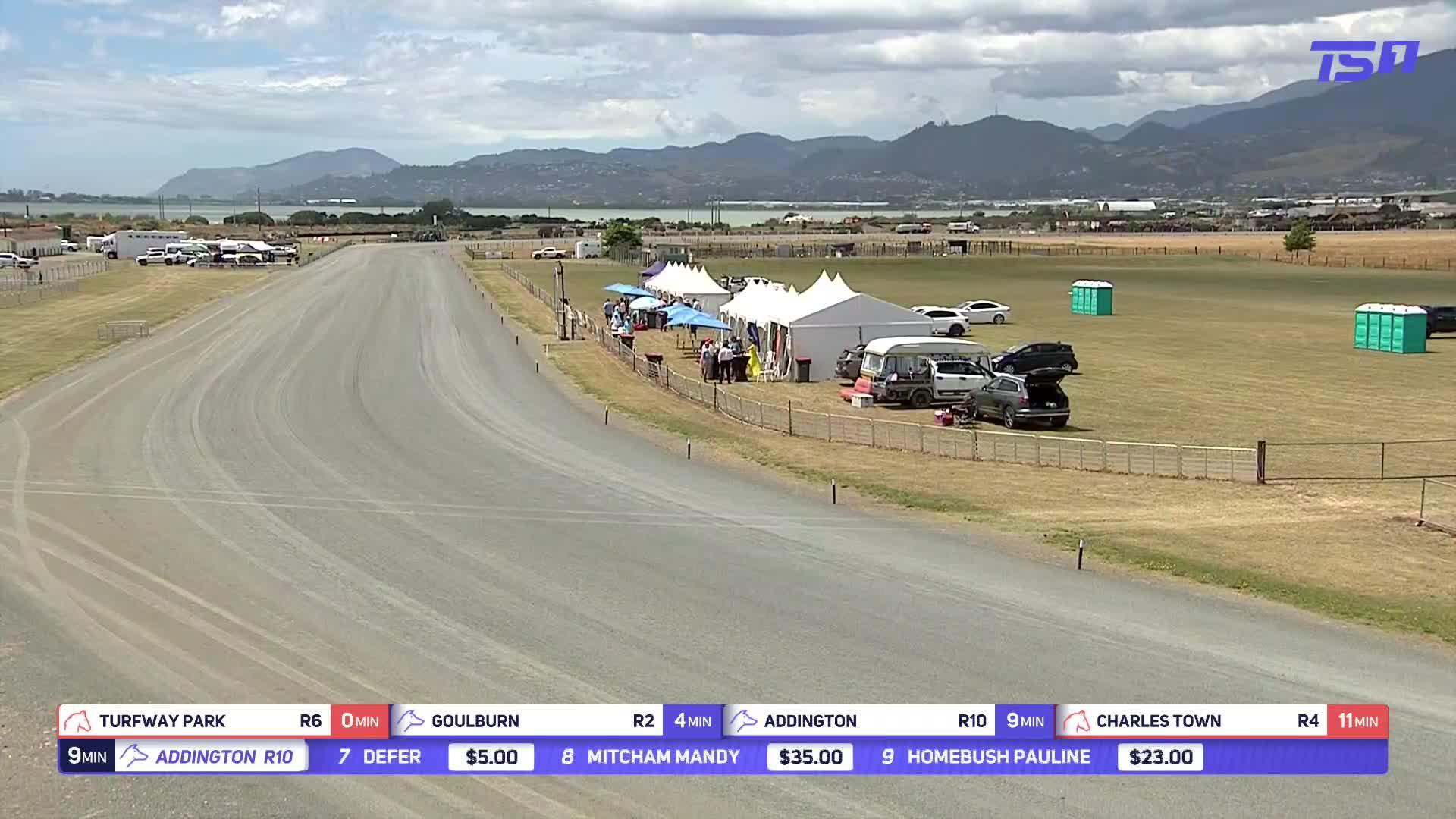 Harness racing from Nelson this afternoon, where it is 