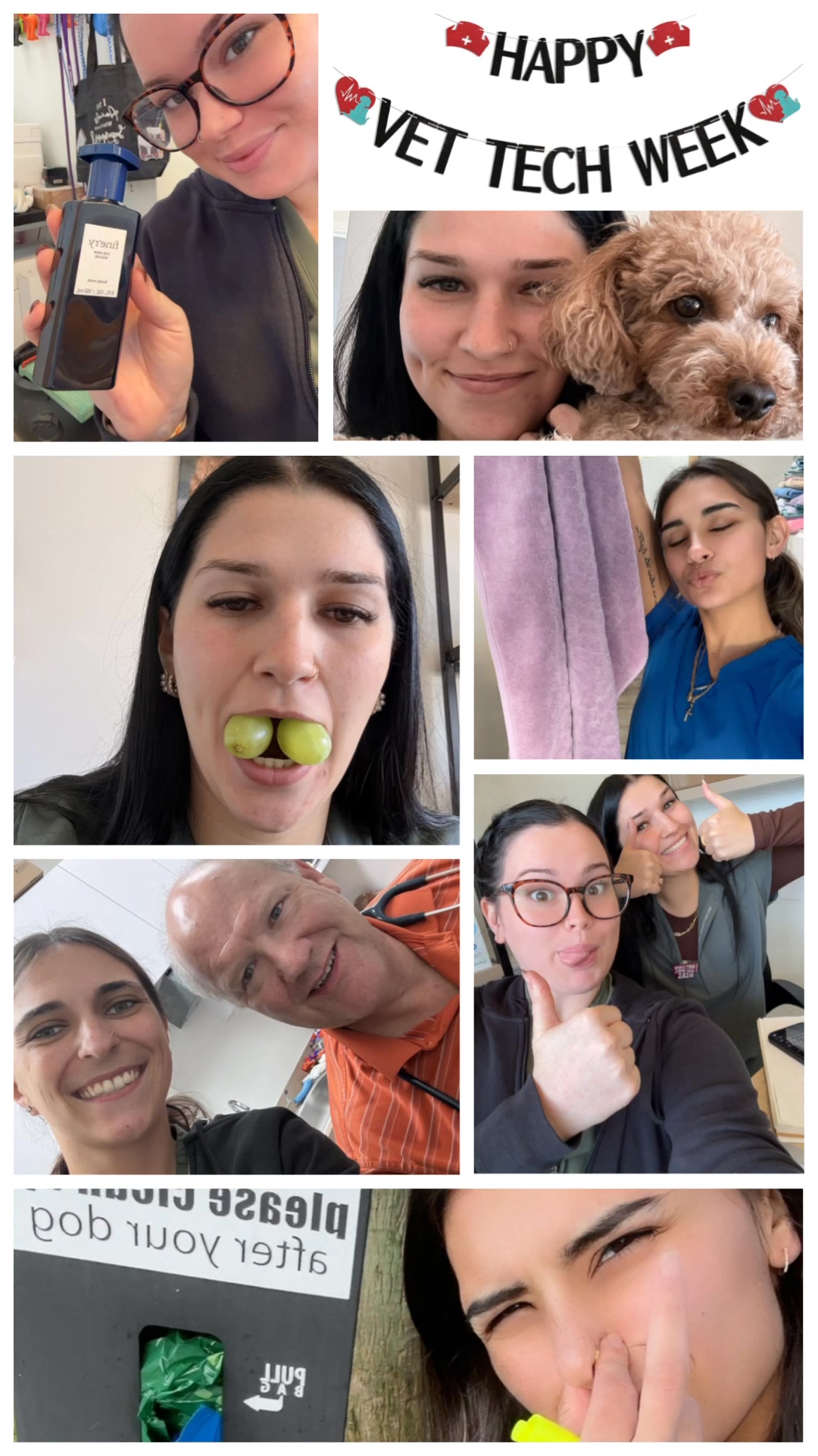 Our techs had a fun filled week celebrating National Vet Tech Week! We ...