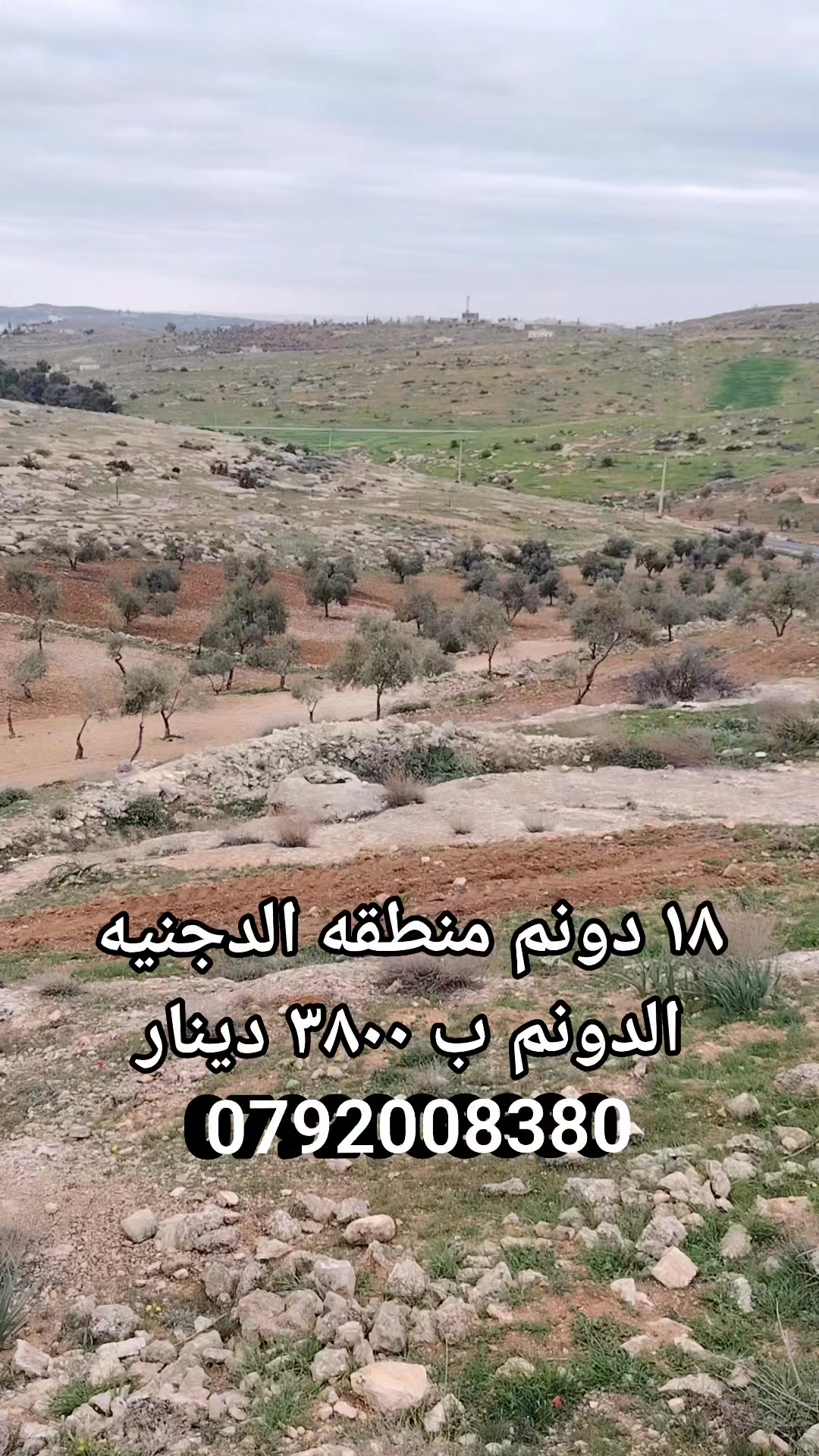 ١٨ دونم مزروعه منطقه الدجنيه شمال جرش وغرب المفرق الدونم ع ٣٨٠٠ دينار ...