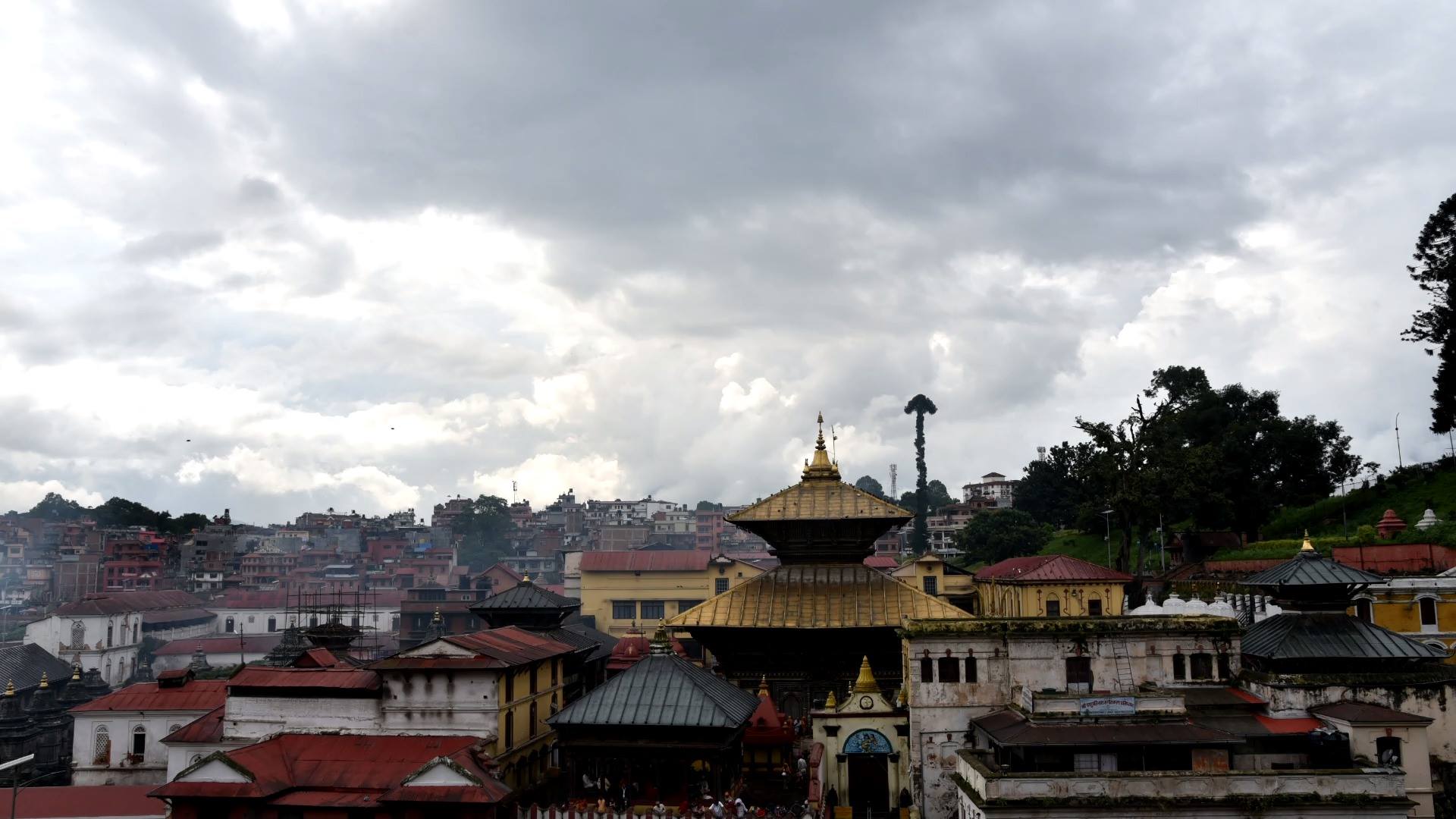 Puskar Nepal