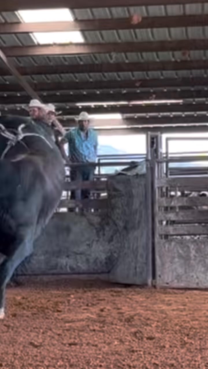 Crangrats to the new owners, thank you... - Wall Street Ranch | Facebook