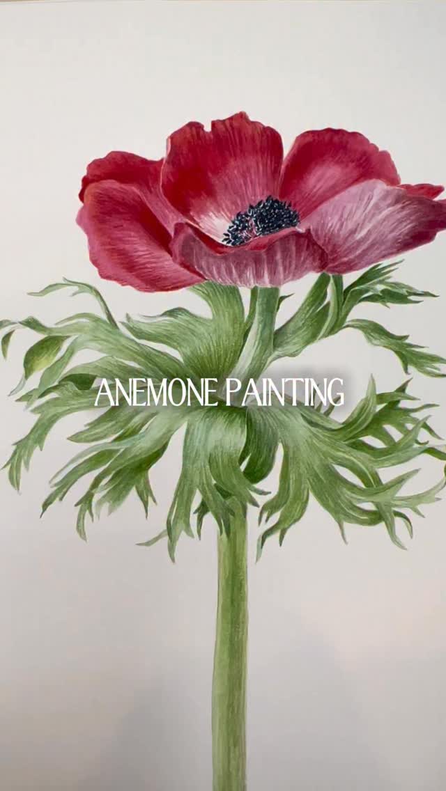 anemone-watercolor-painting-kristine-art-facebook