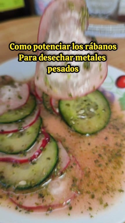 Después de saber esto querrás comer rábanos todos los días 🫜 #Rabanne # ...