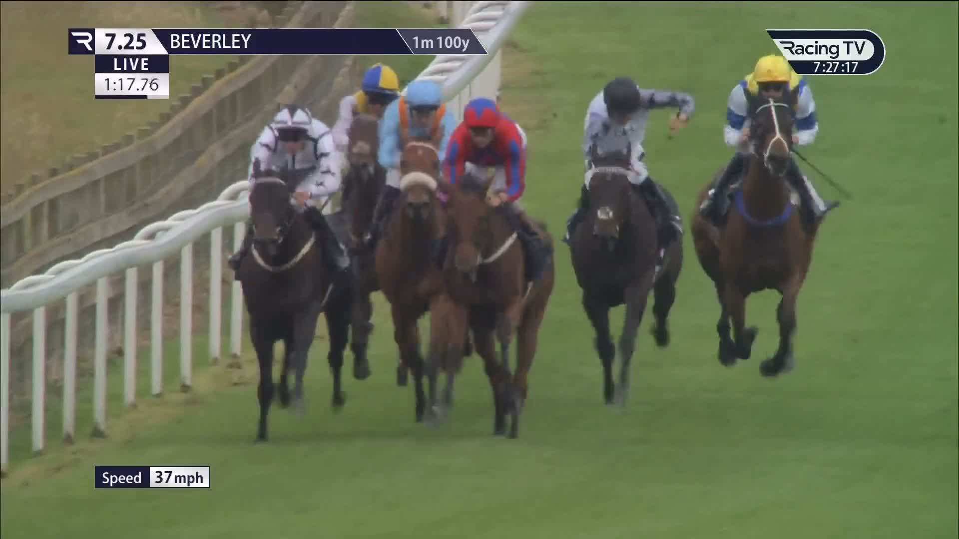 Look at this! Keats House 'leaps' to victory at the line in the ...