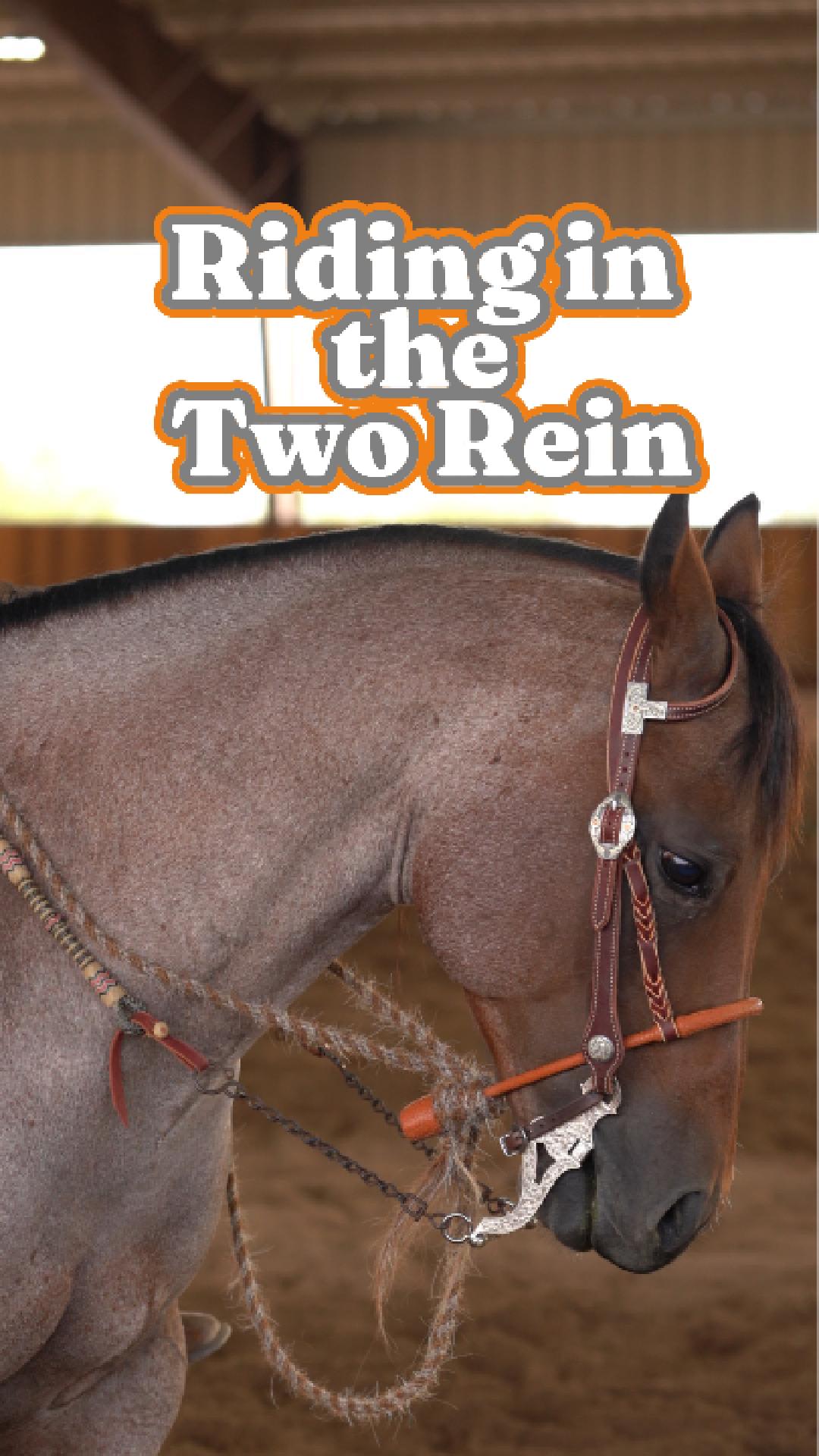 The two rein is a conversation, not a rule. I adjust how much I hold ...
