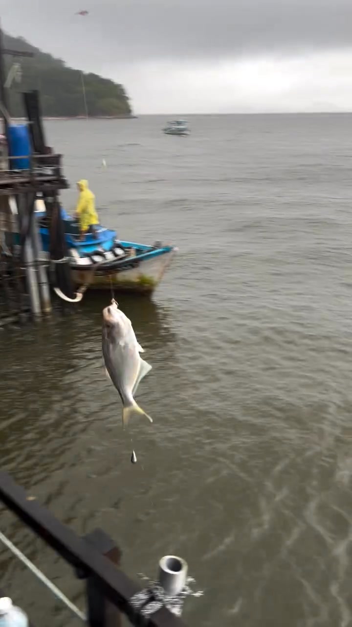 Ah Fatt Kelong Fishing on Reels | Facebook