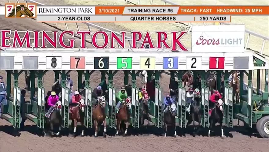 #8 Trapper Jon by #FreighttrainB, wins his schooling race to clock the ...