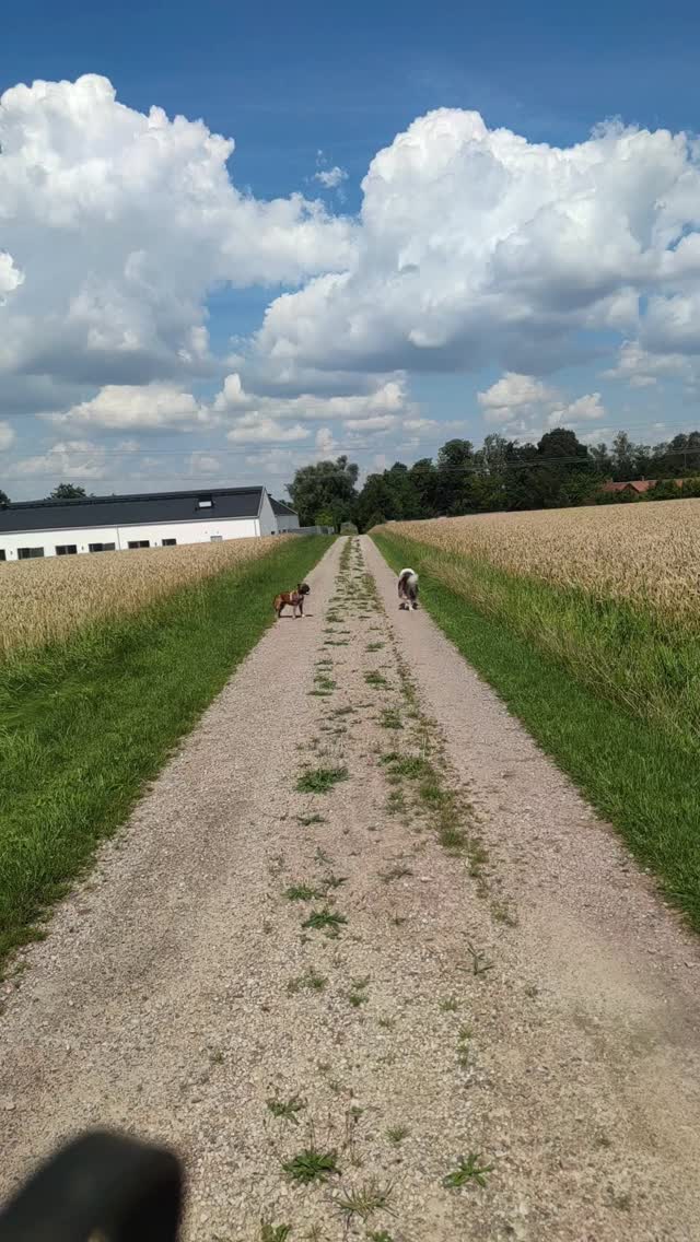 Så härligt att se dig springa runt fritt och så lycklig 😍 Vilken tur ...