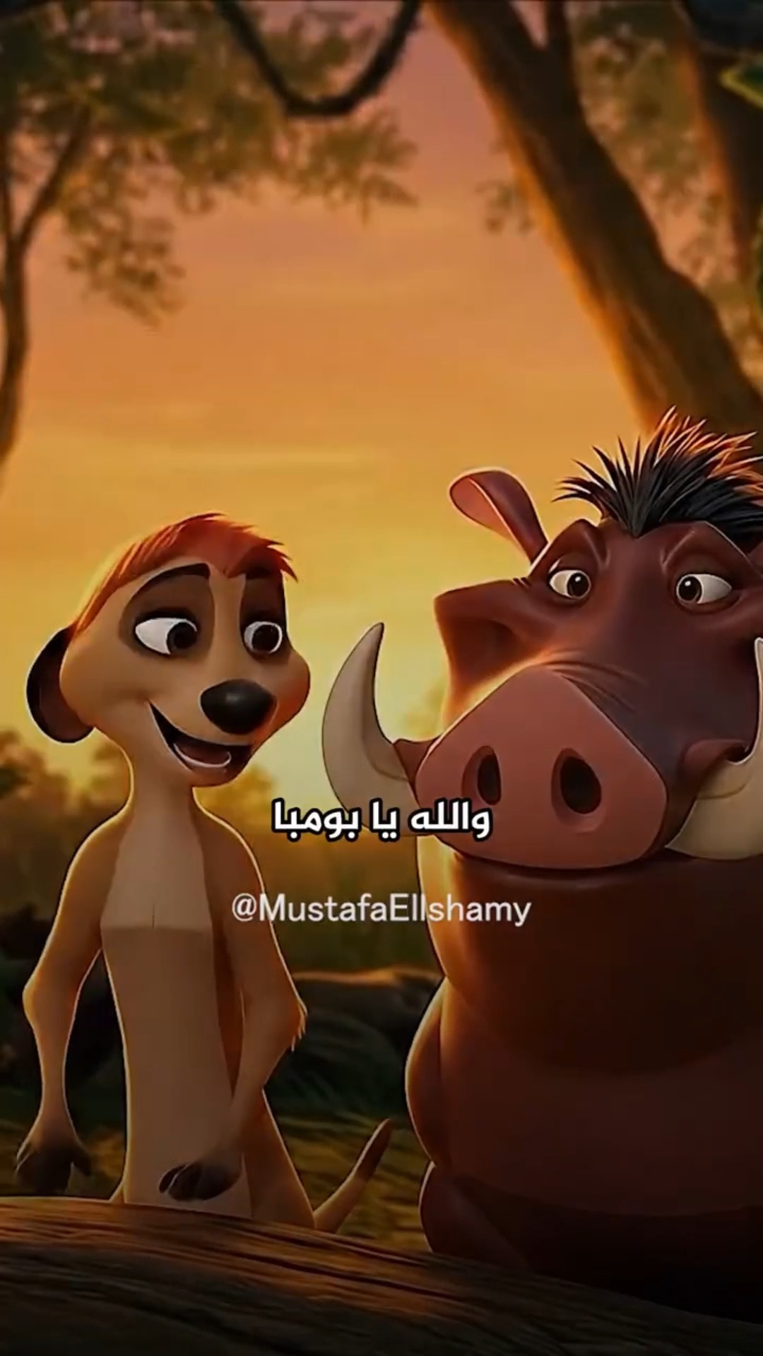 تيمون بومبا
