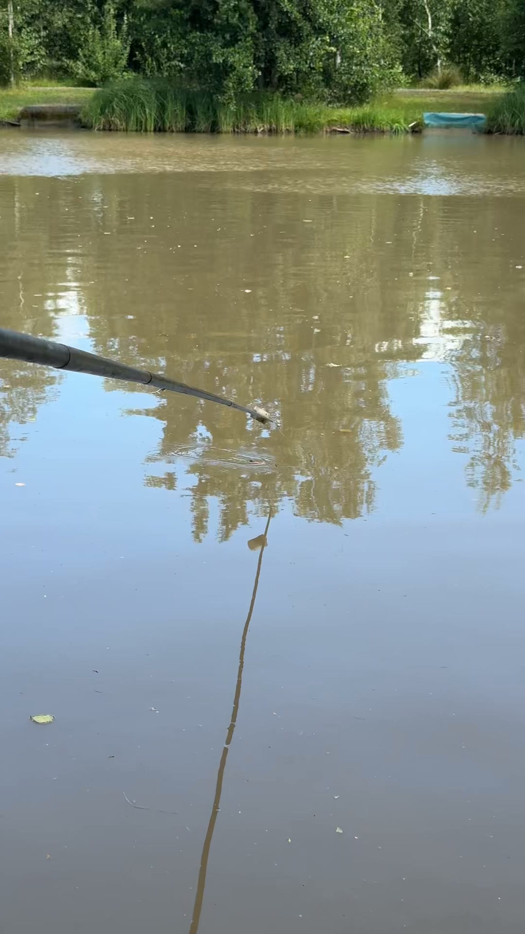 best pole floats for paste fishing Handmade Inline Benwick Silverlite Paste Float