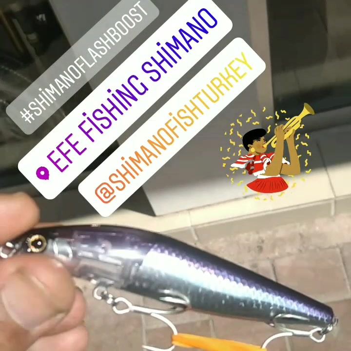 Efe Fishing Shimano | Çanakkale