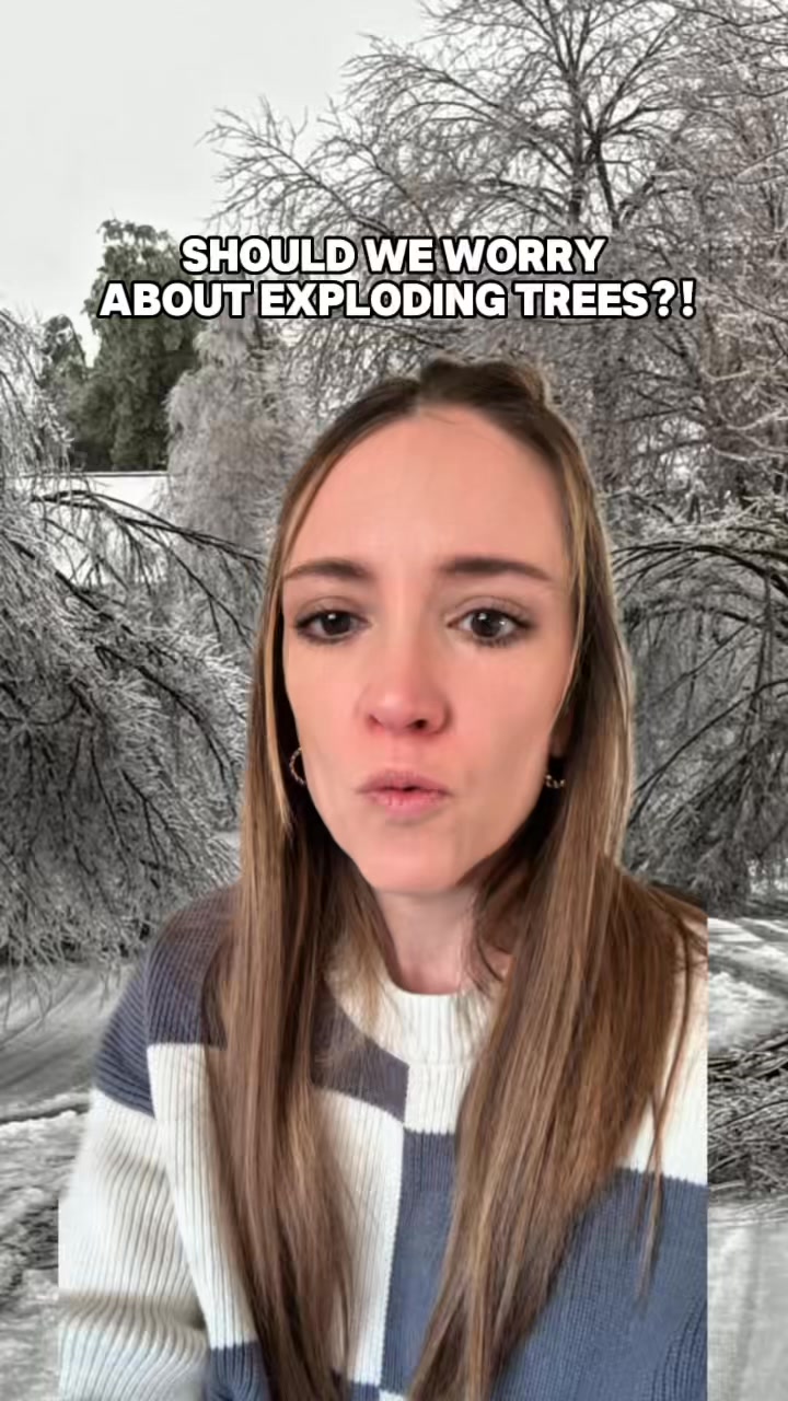 Exploding trees?!?! Are they real? #tennesseeicestorm # ...