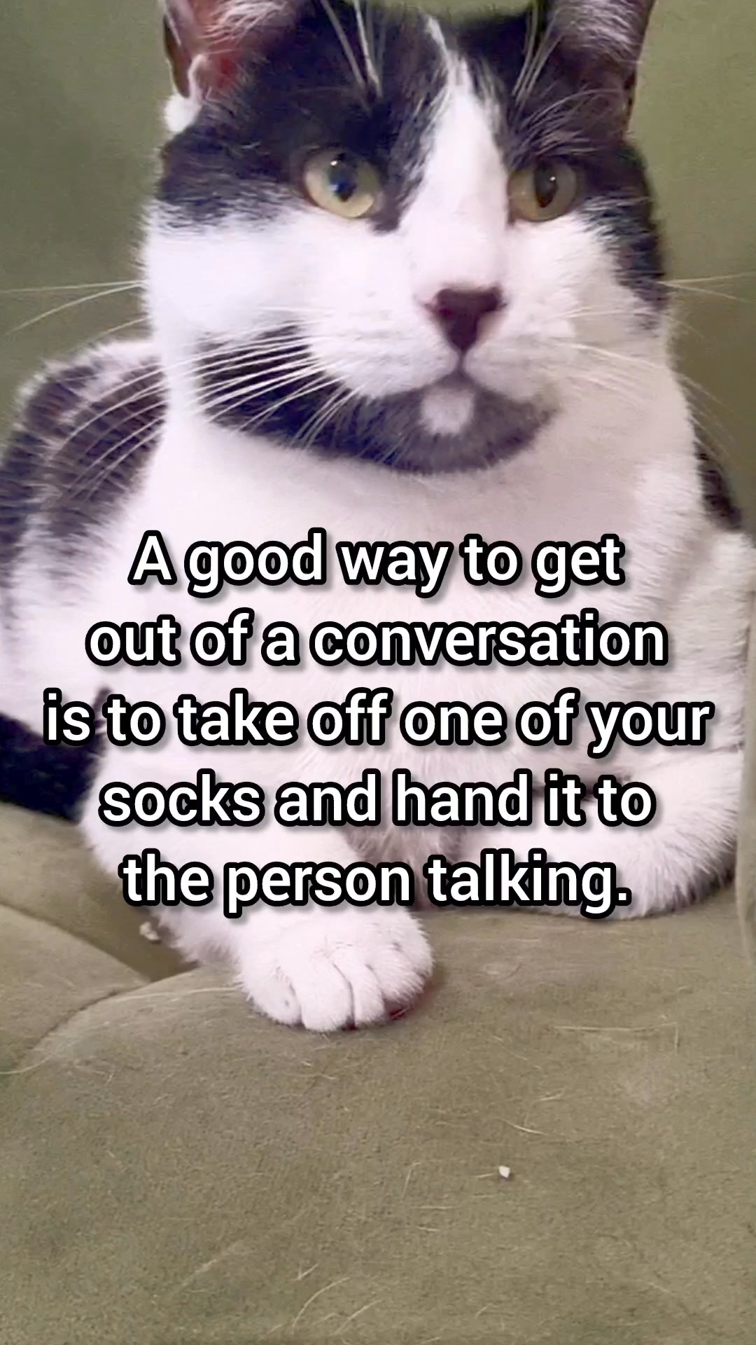 Awkward but effective 🤣 | Mr Naru Cat | Facebook
