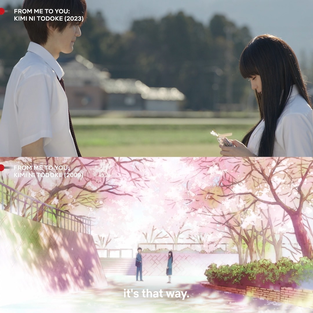 I can watch From Me To You: Kimi Ni Todoke live action and anime