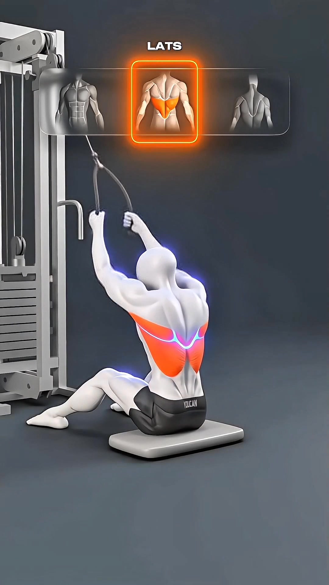 🔥 Rope Pulling Exercises: Know the Difference 💪Rope pulling exercises ...