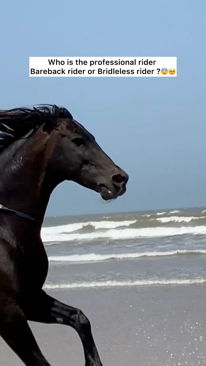 Who is the professional rider Bareback rider or Bridleless rider ?😨🥹 # ...