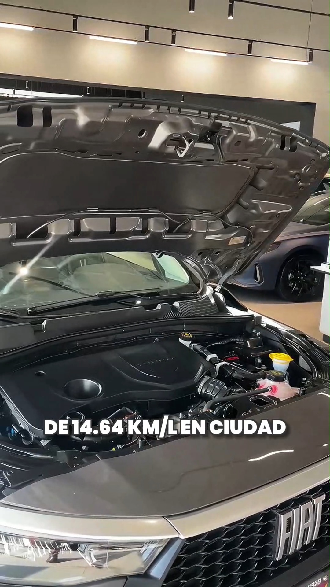 Automundo Interlomas | Huixquilucan