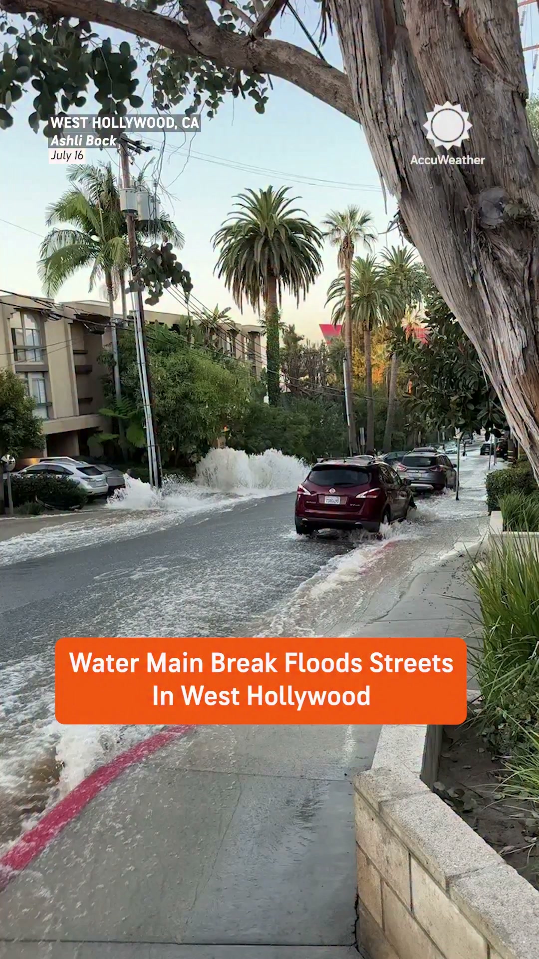 陥没孔/Sinkhole LEA 陥没孔/Sinkhole LEA A water main break in West Hollywood