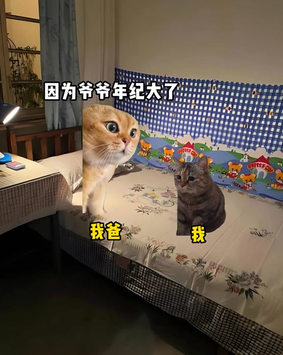 小时候我爷去世 #猫meme #猫meme小剧场 #故事来源于网络 #真实改编 #每日一笑 #抽象 #fyp #喵喵小剧场 | 喵喵小剧场 ...
