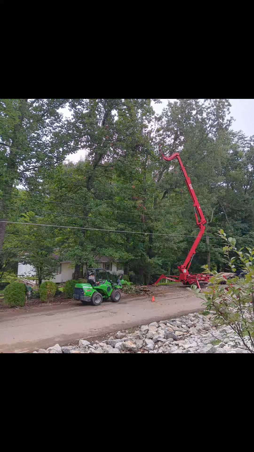 Always Trees LLC | New Market AL