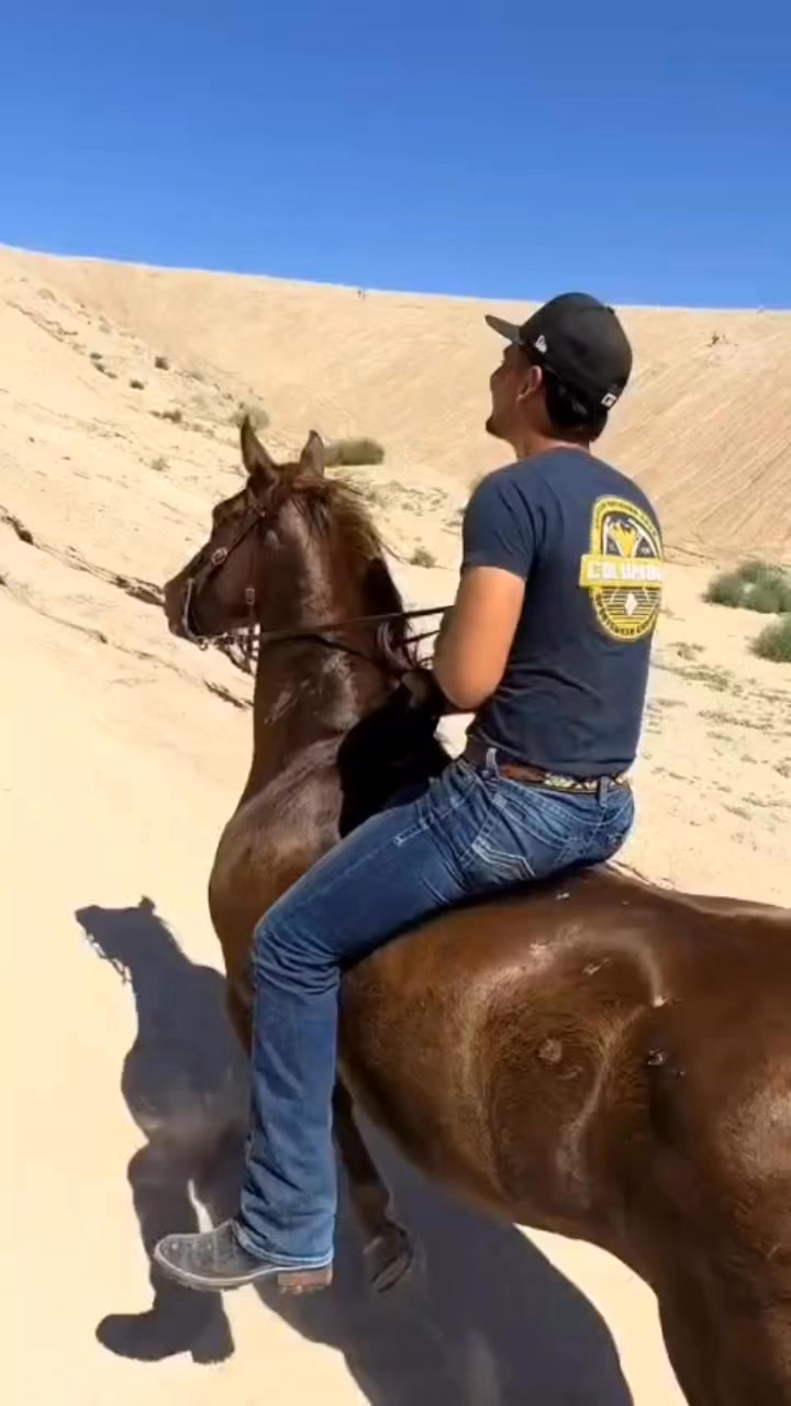 Jálese mi compa macizote Pariente Pinolais #pinolais #mentesmillonarias ...