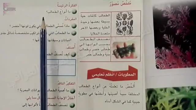 لجان مقاومة الحلة الجديدة Posts Facebook