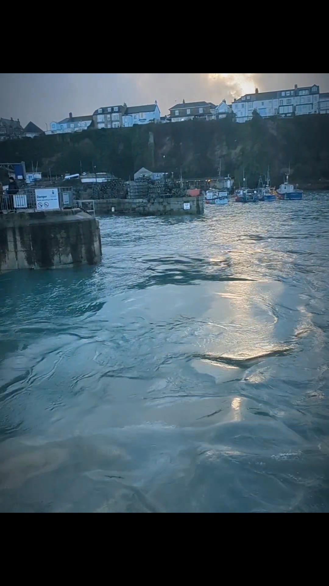 On the last day of January 2026 nature mirrored my emotions. With ...