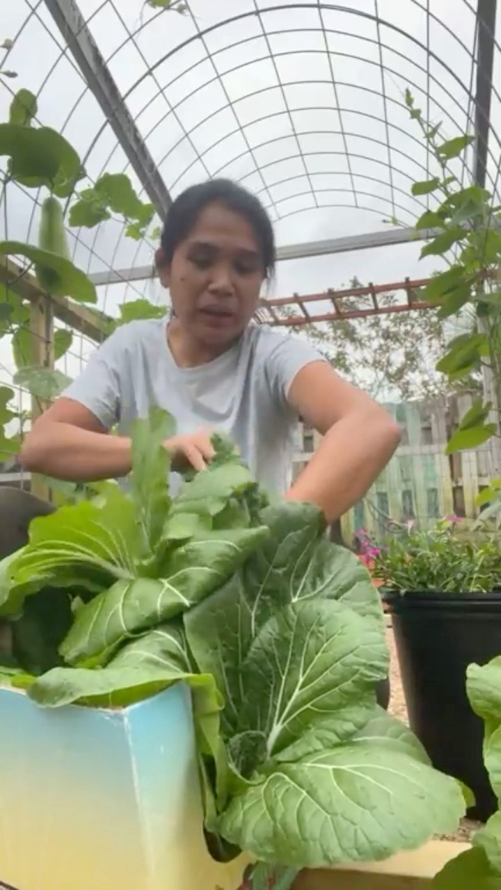 Ano ba yan ang taba Inday roning | Inday roning | Facebook