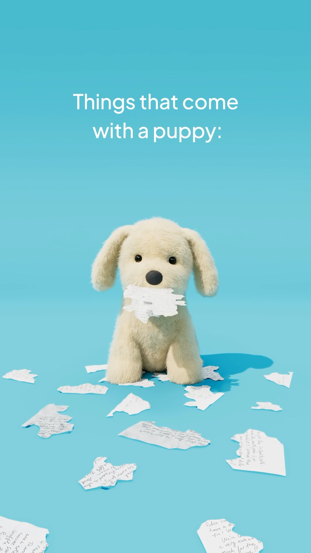 Meet our new Golden Puppy! 🐾💙 | Jellycat