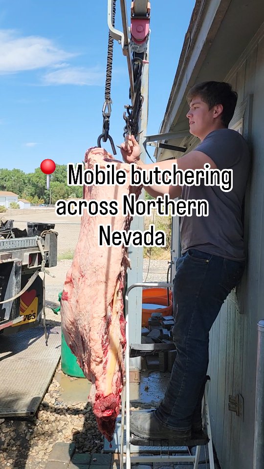 🎥 Ever wondered what mobile butchering really looks like? Here’s a ...