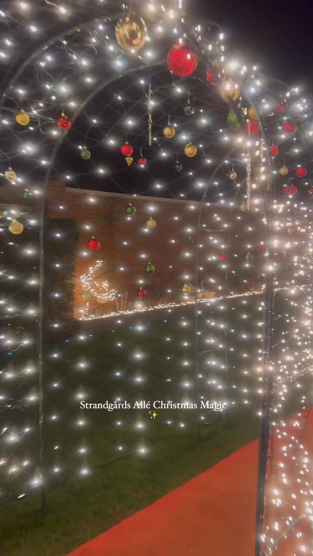 🎄 Denmark’s ‘Possibly the Wildest Christmas Street’ | Strandgårds Allé ...