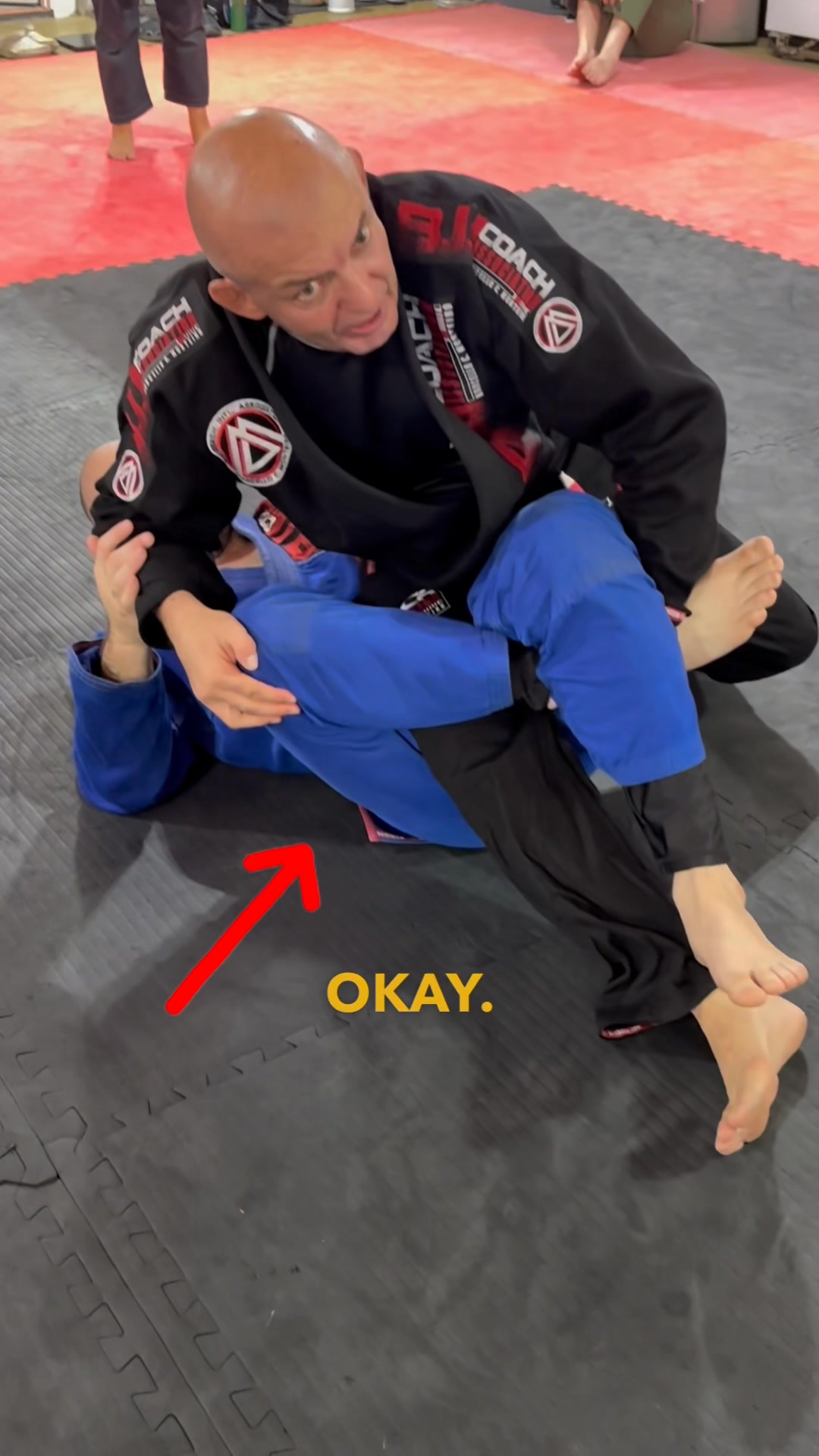 🔥 DAILY DEAL: 50% OFF 🔥 John Danaher's Leglocks: Enter The