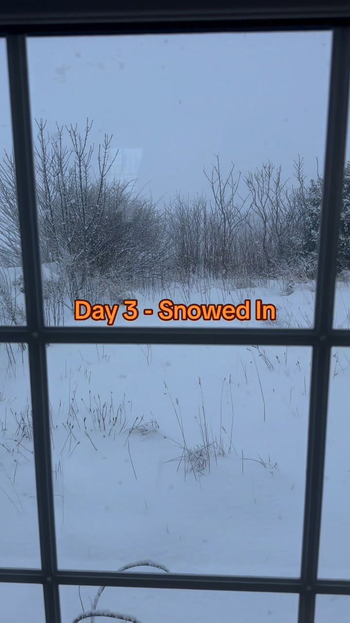 We won’t be getting out for a while! Totally snowed in and more bad ...