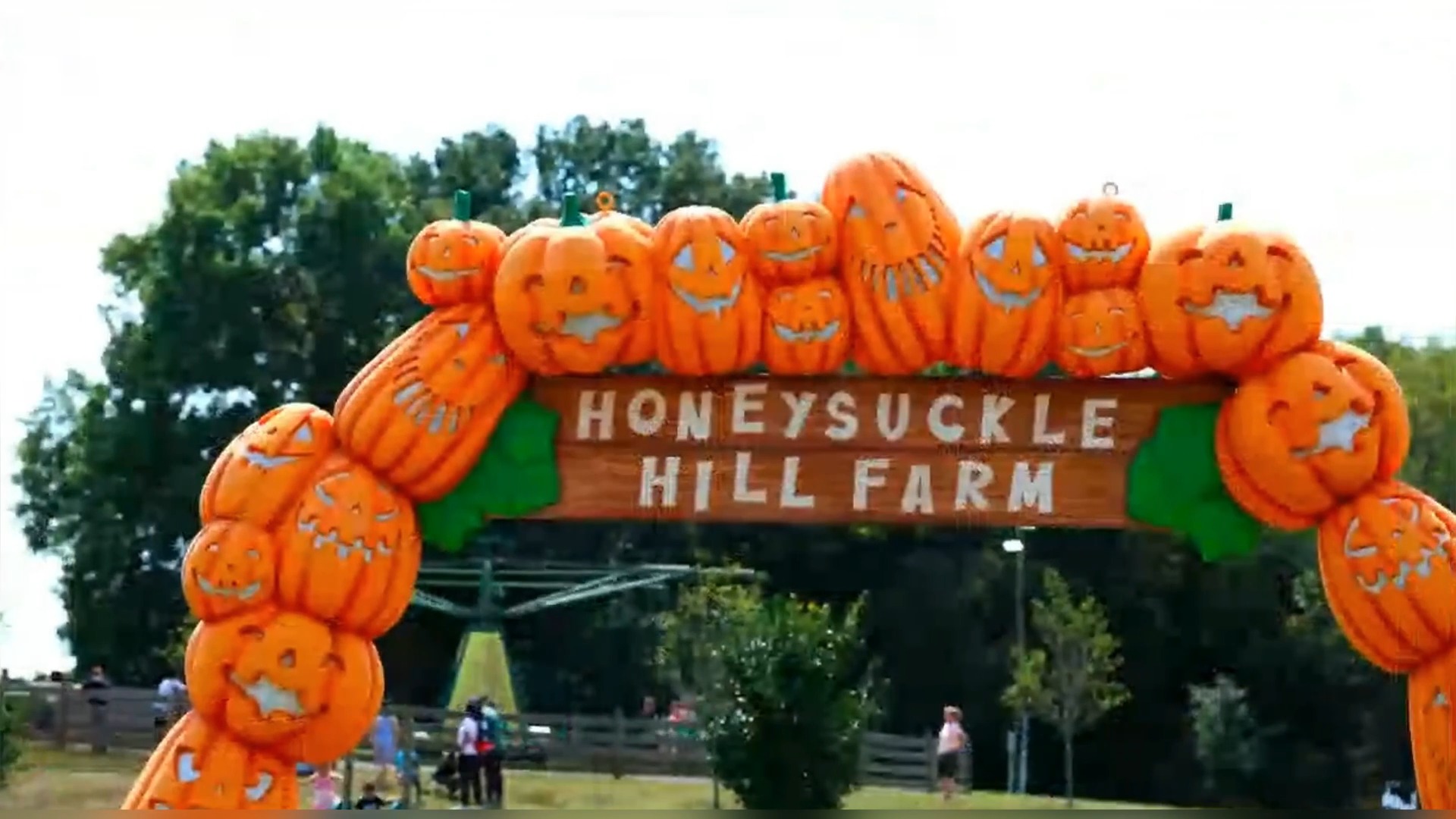 Honeysuckle Hill Farm | Springfield TN